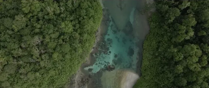 Still from Victor's Rag video